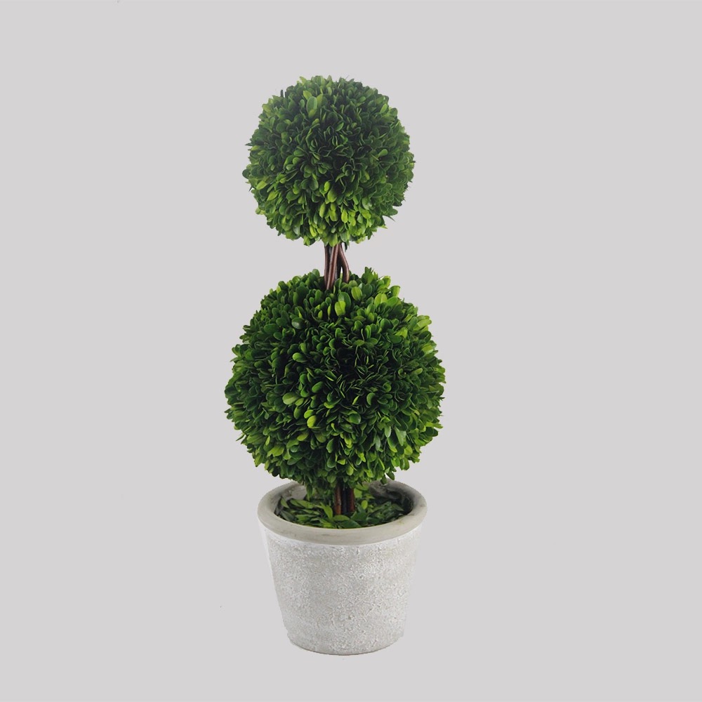 Preserved boxwood topiary - 1