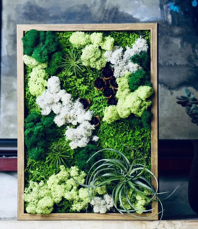 Preserved moss frame