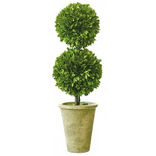 Preserved boxwood topiary-9